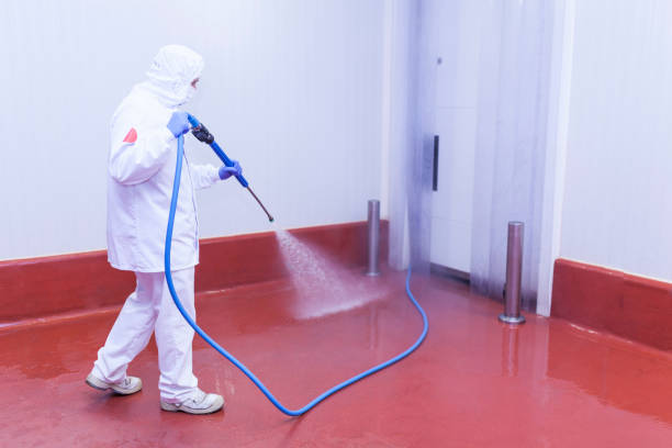 Best Graffiti Removal  in Buckner, MO
