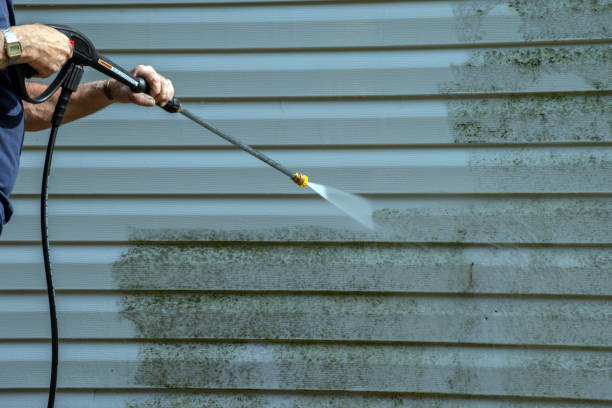 Best Roof Washing  in Buckner, MO